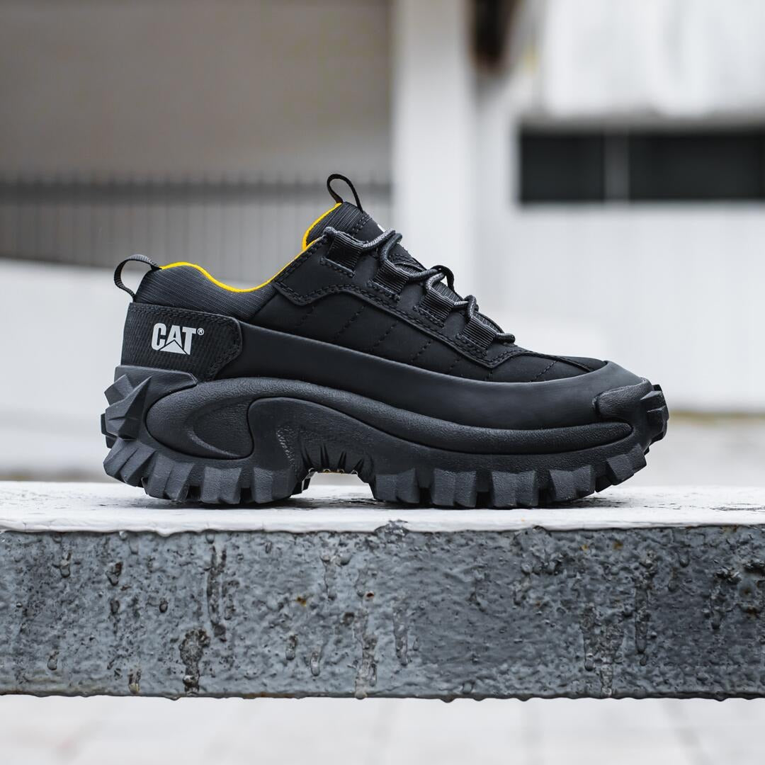 Cat intruder galosh 2.0